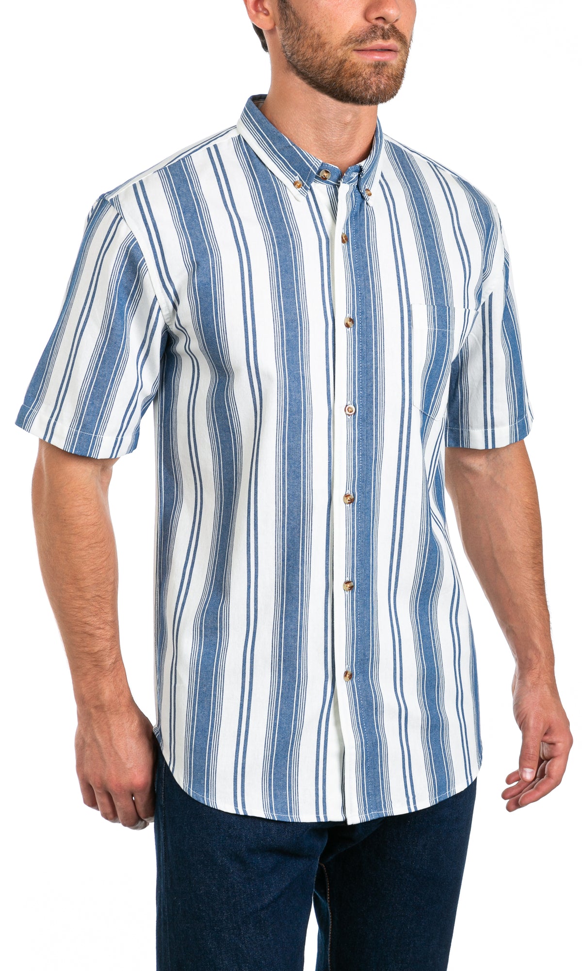 Hudson Vertical Stripe - Short Sleeve Button Front